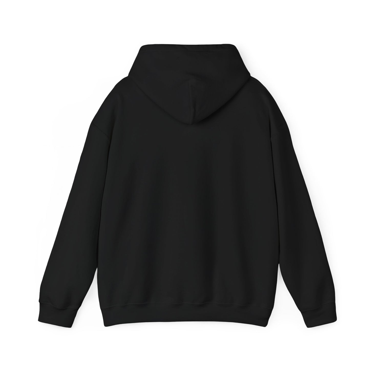 Hooded Sweatshirt, Streetwear Style.