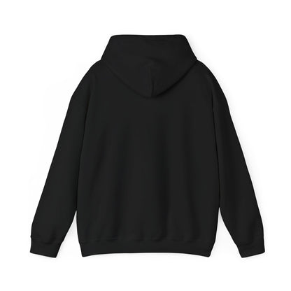 Hooded Sweatshirt, Streetwear Style.
