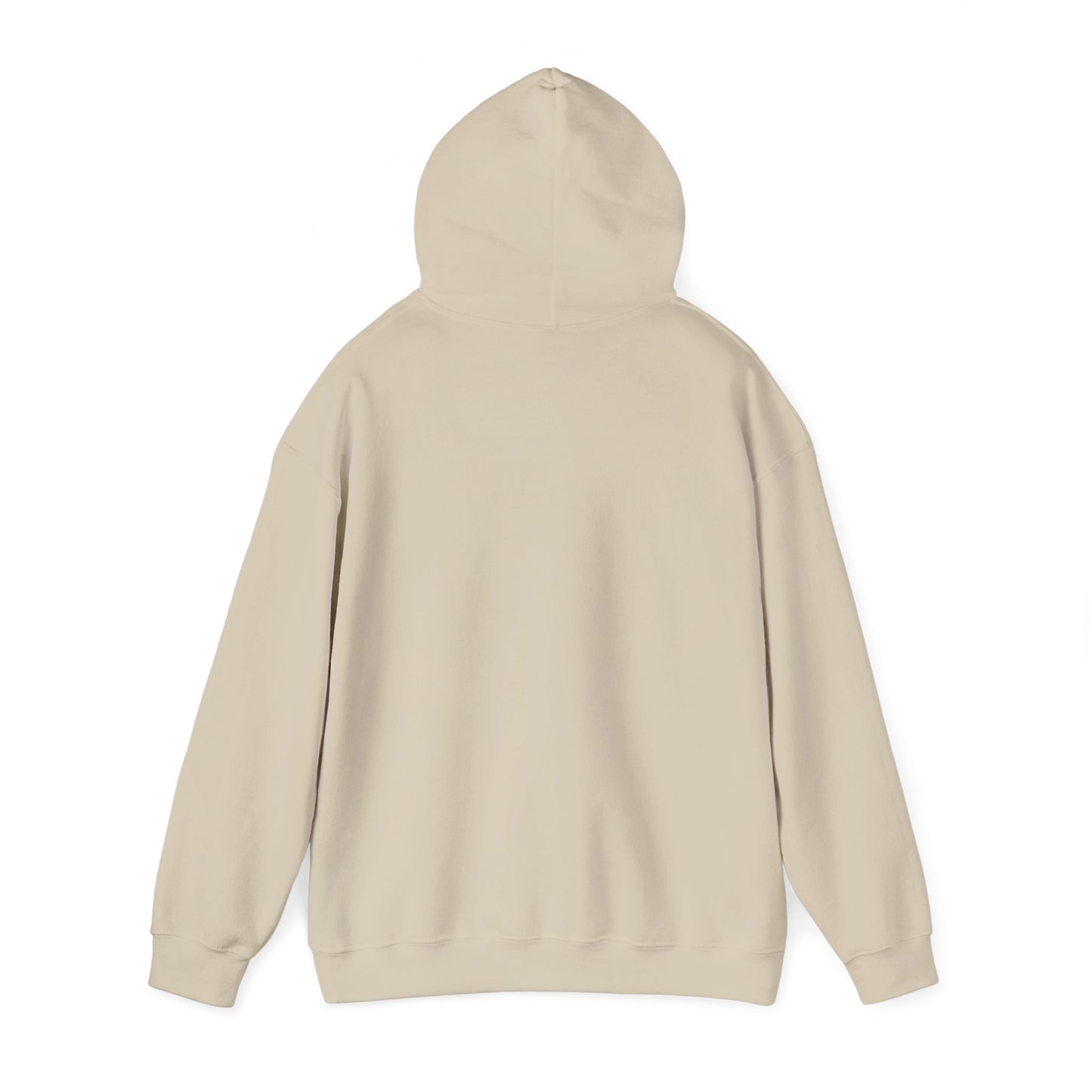 Hooded Sweatshirt, Streetwear Style.