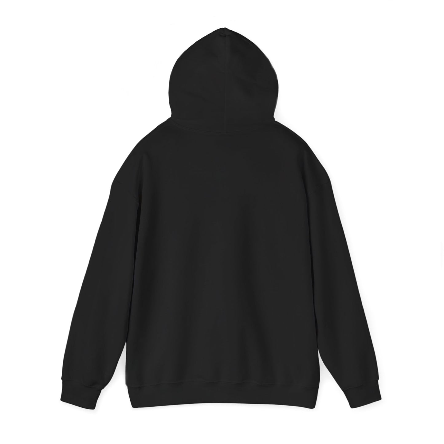 Hooded Sweatshirt, Streetwear Style.
