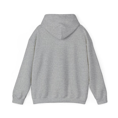 Hooded Sweatshirt, Streetwear Style.