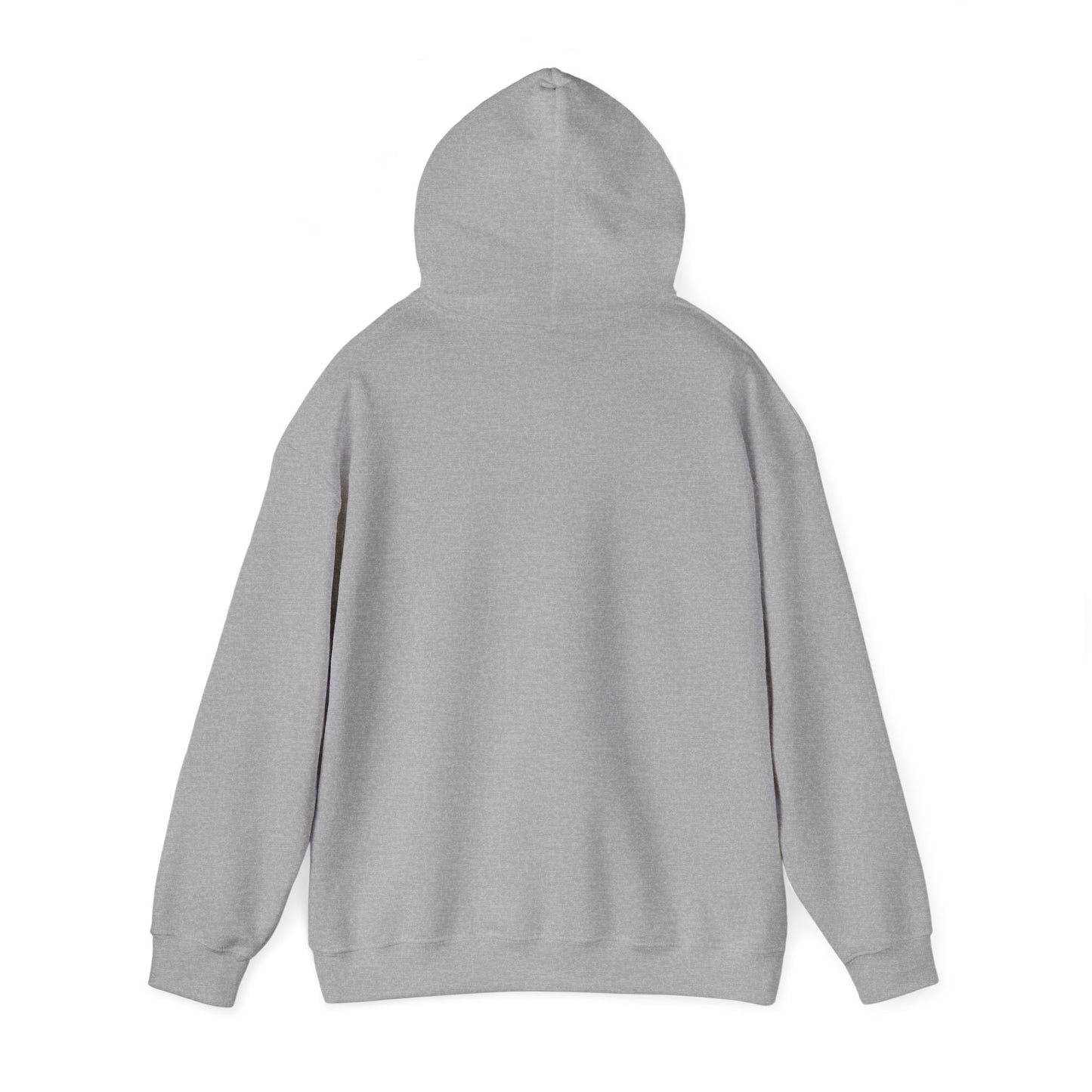 Hooded Sweatshirt, Streetwear Style.