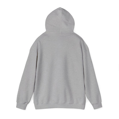 Hooded Sweatshirt, Streetwear Style.
