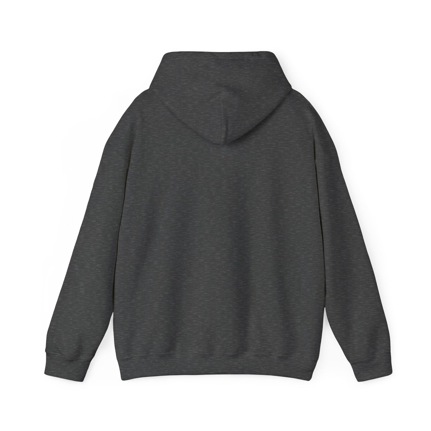 Hooded Sweatshirt, Streetwear Style.