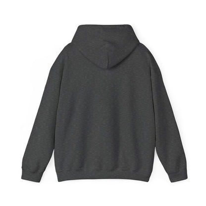 Hooded Sweatshirt, Streetwear Style.