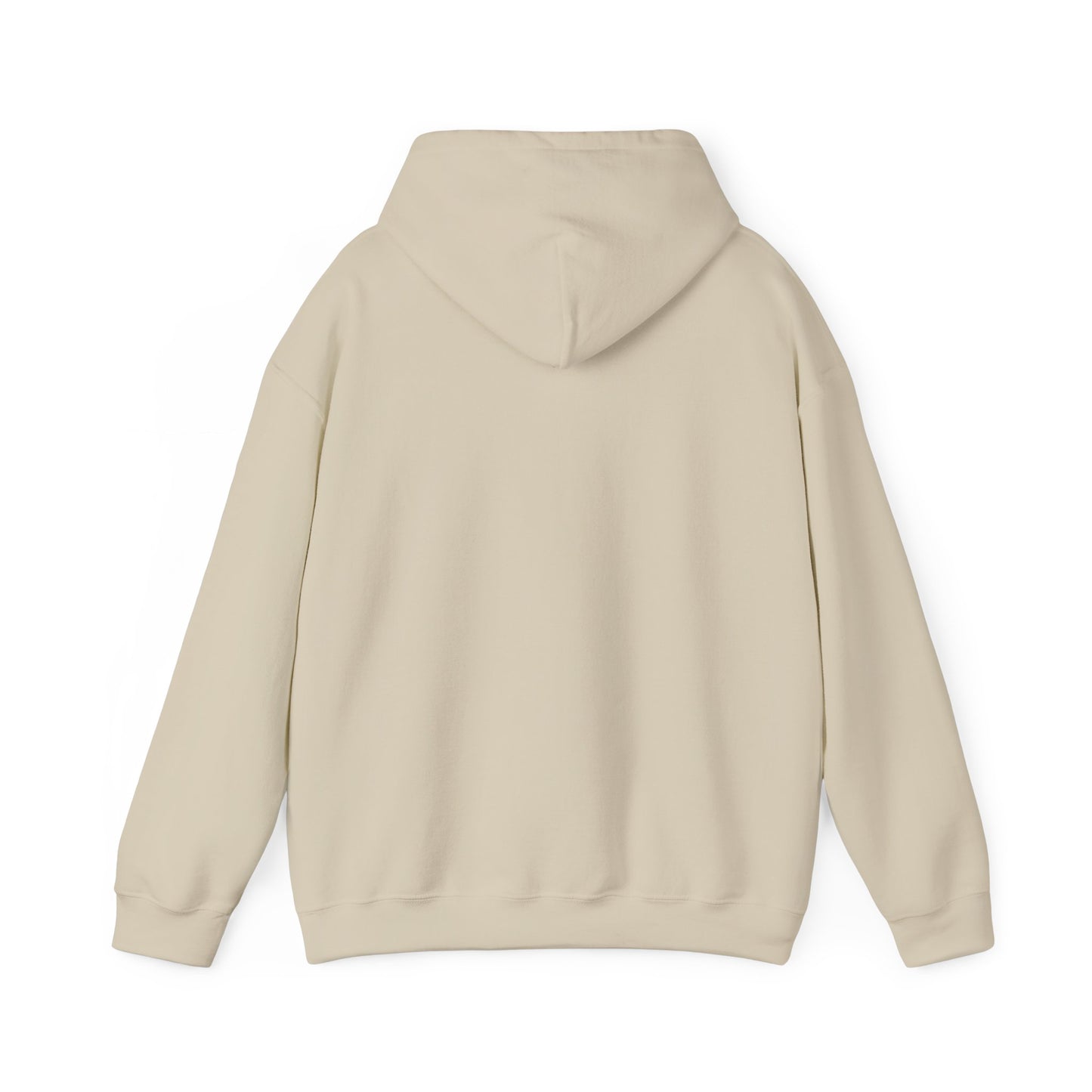 Hooded Sweatshirt, Streetwear Style.