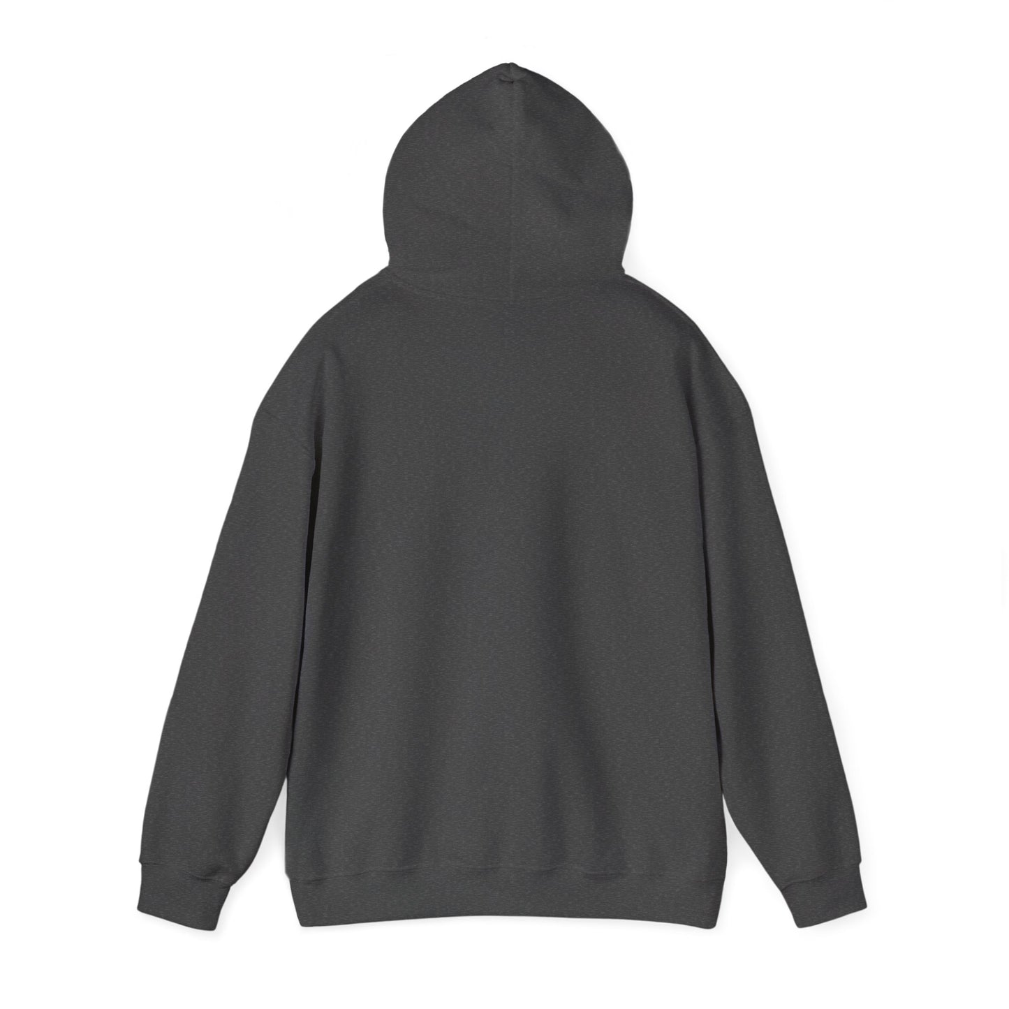 Hooded Sweatshirt, Streetwear Style.