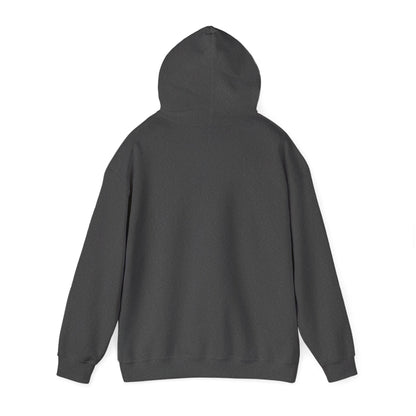 Hooded Sweatshirt, Streetwear Style.